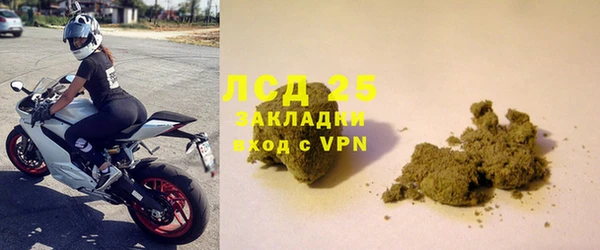 хмурый Аркадак
