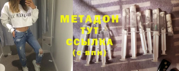 хмурый Аркадак