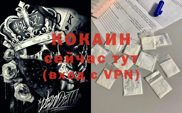 хмурый Аркадак