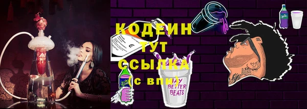 хмурый Аркадак