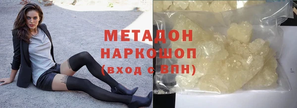 хмурый Аркадак