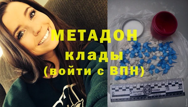 хмурый Аркадак