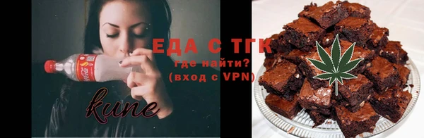 хмурый Аркадак
