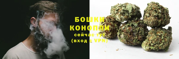 хмурый Аркадак