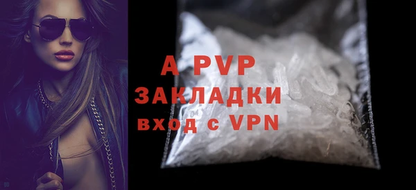 хмурый Аркадак