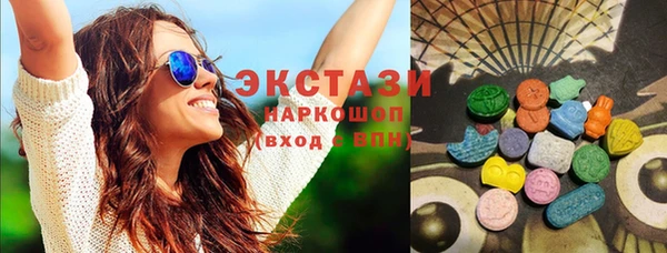 хмурый Аркадак
