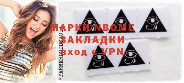 хмурый Аркадак