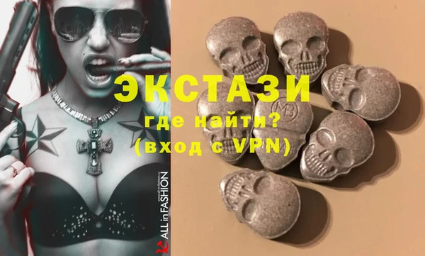 хмурый Аркадак