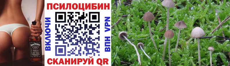 ОМГ ОМГ ссылки Лодейное Поле Галлюциногенные грибы прущие грибы магазин продажи наркотиков